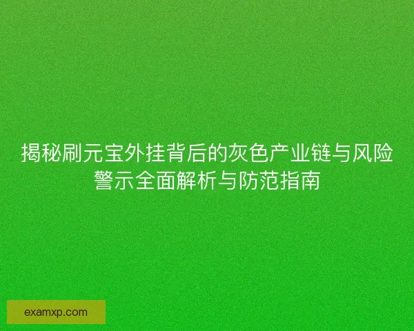 揭秘刷元宝外挂背后的灰色产业链与风险警示全面解析与防范指南